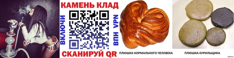 darknet Telegram  Сковородино  Гашиш AMNESIA HAZE 