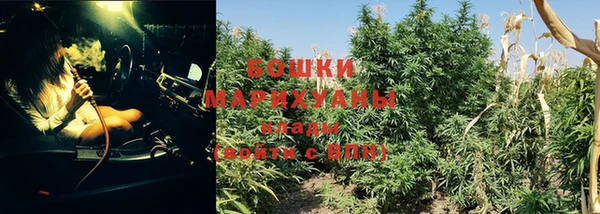 каннабис Богданович